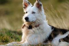 Afbeelding-van-WhatsApp-op-2025-02-12-om-13.47.30_ce23d877